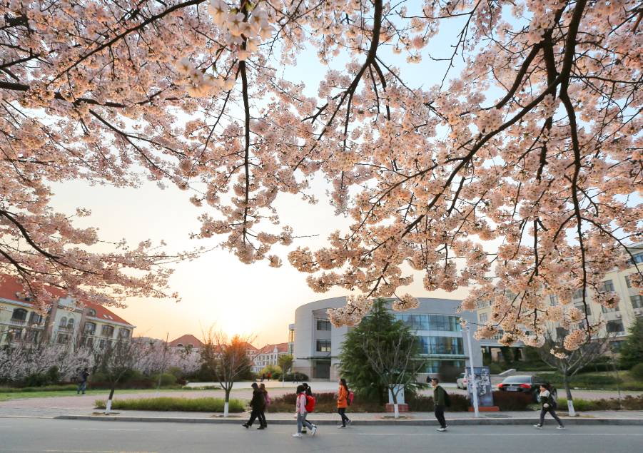 校友文化节策划活动方案,海大文化节