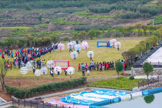 微拍拍｜乡趣“绿之恋”掠影二：草地悠波球欢乐碰碰碰