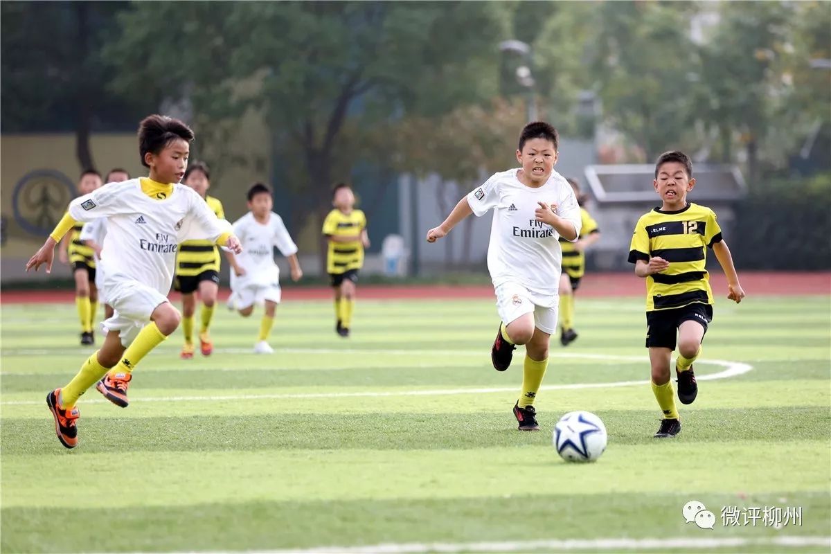 柳州户外活动哪里好玩,柳州哪个地方有活动