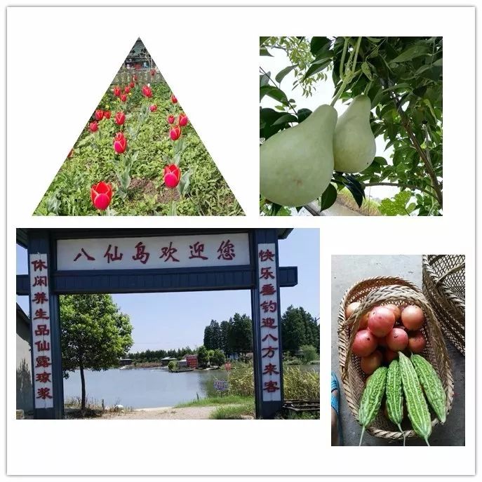 芜湖带住宿的农家乐有哪些,芜湖周边农家乐一日游推荐