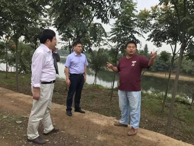 简讯今日要闻,今日头条新闻简讯最新消息