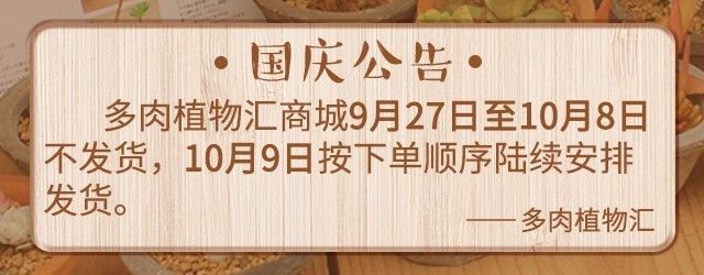 只有见过韩国肉友的阳台，才知道什么叫做物尽其用！