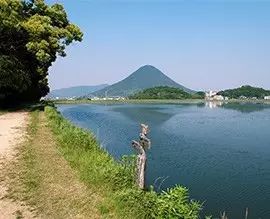 开原美食乌冬,台东美食乌冬