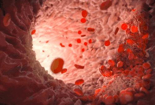 人体生命之水是什么,人体七种生命水