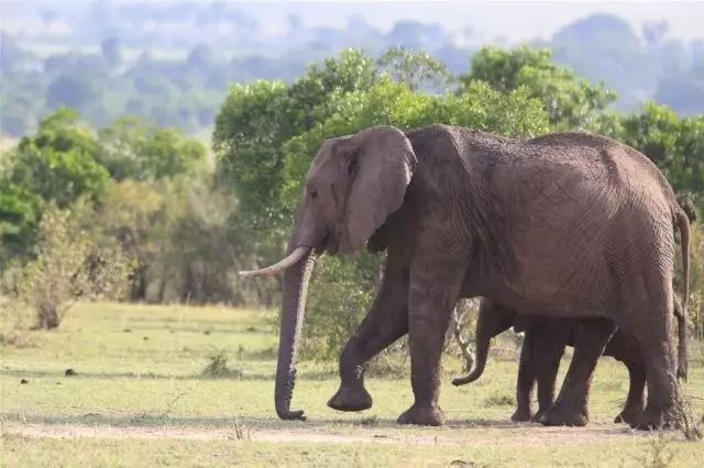 BLACKYAK牛人牛队｜登顶“非洲之巅”
