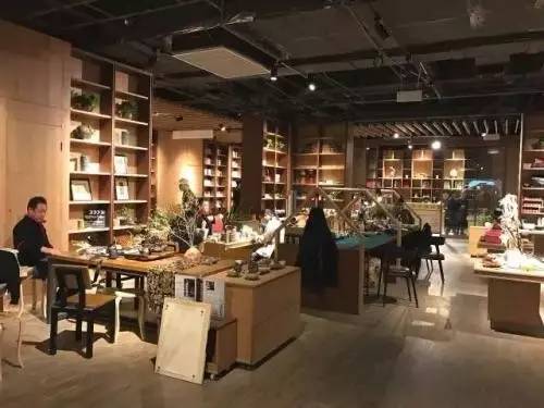 乐游｜国庆不出门的，来沈阳这些最美看书圣地，装文艺，玩自拍，看猫咪……都能满足你~