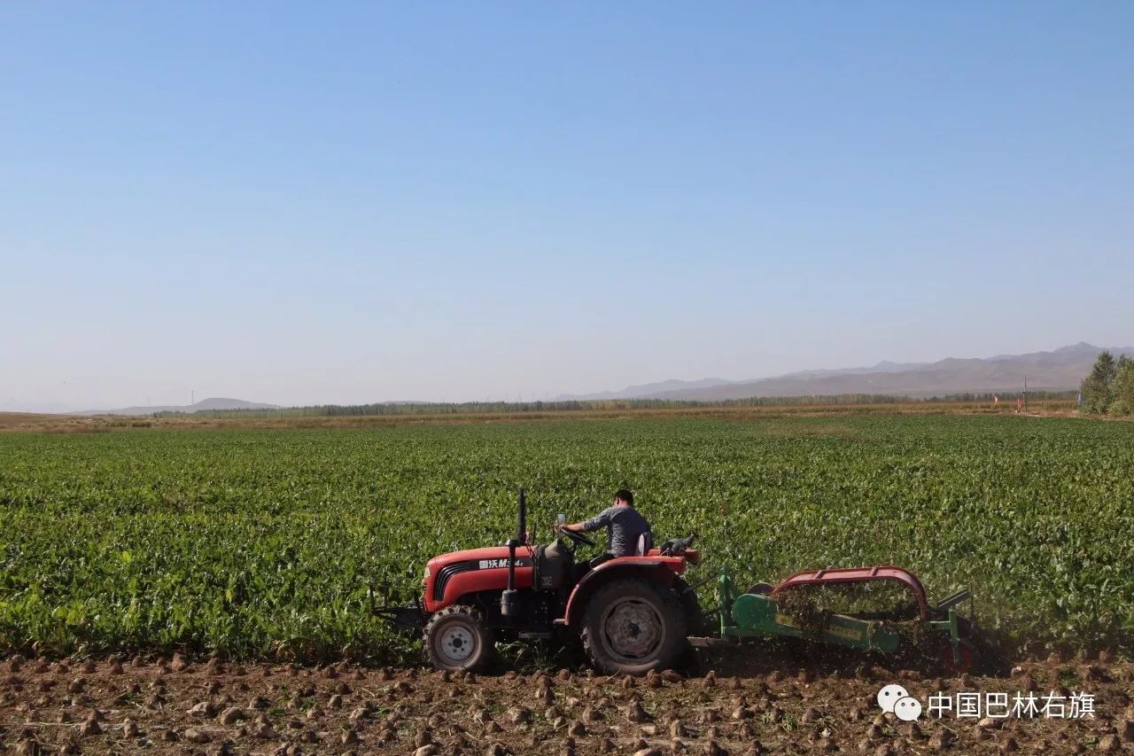 巴林右旗农机推广中心,农机化技术推广现场会在我县召开