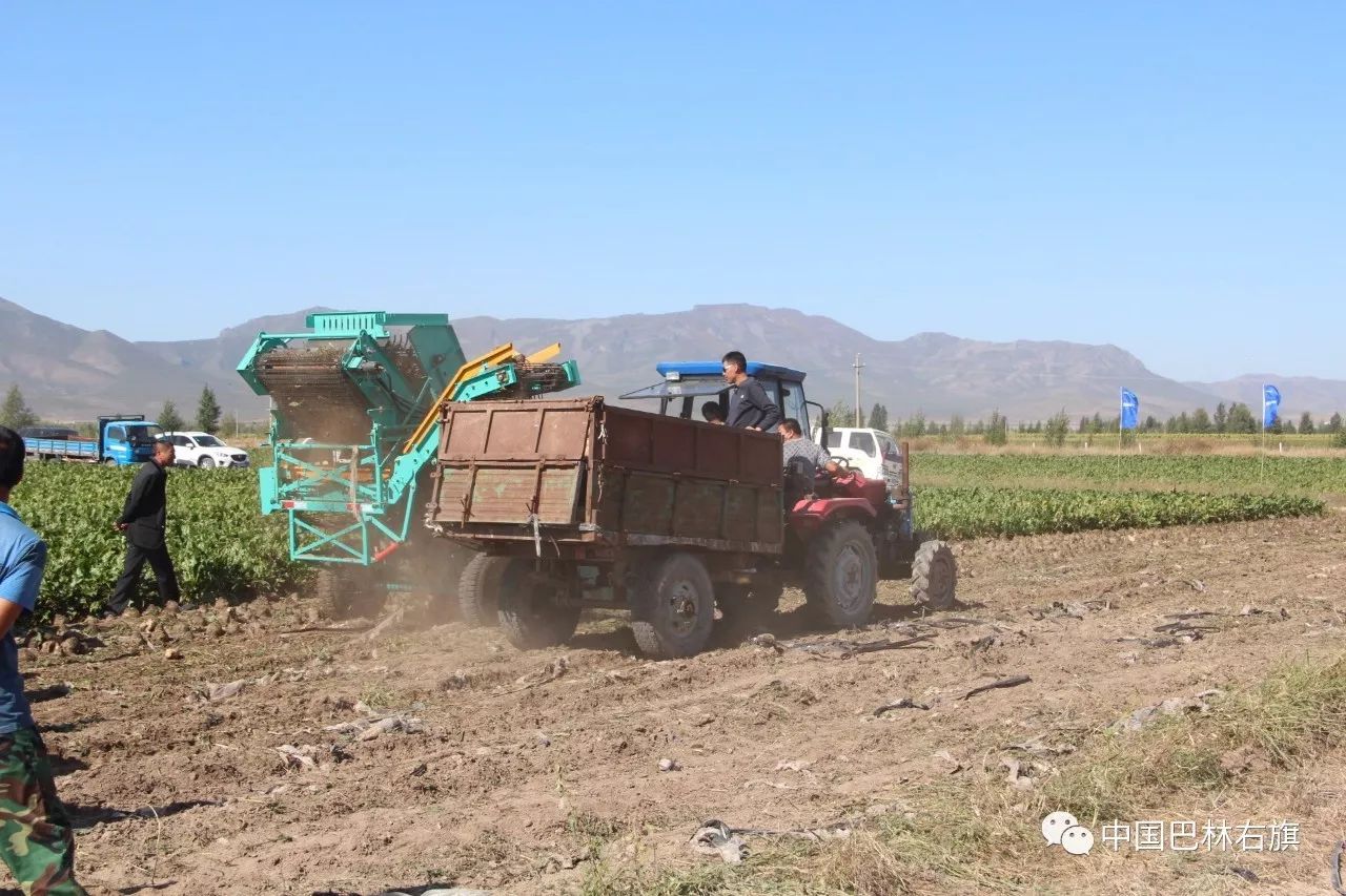 巴林右旗农机推广中心,农机化技术推广现场会在我县召开