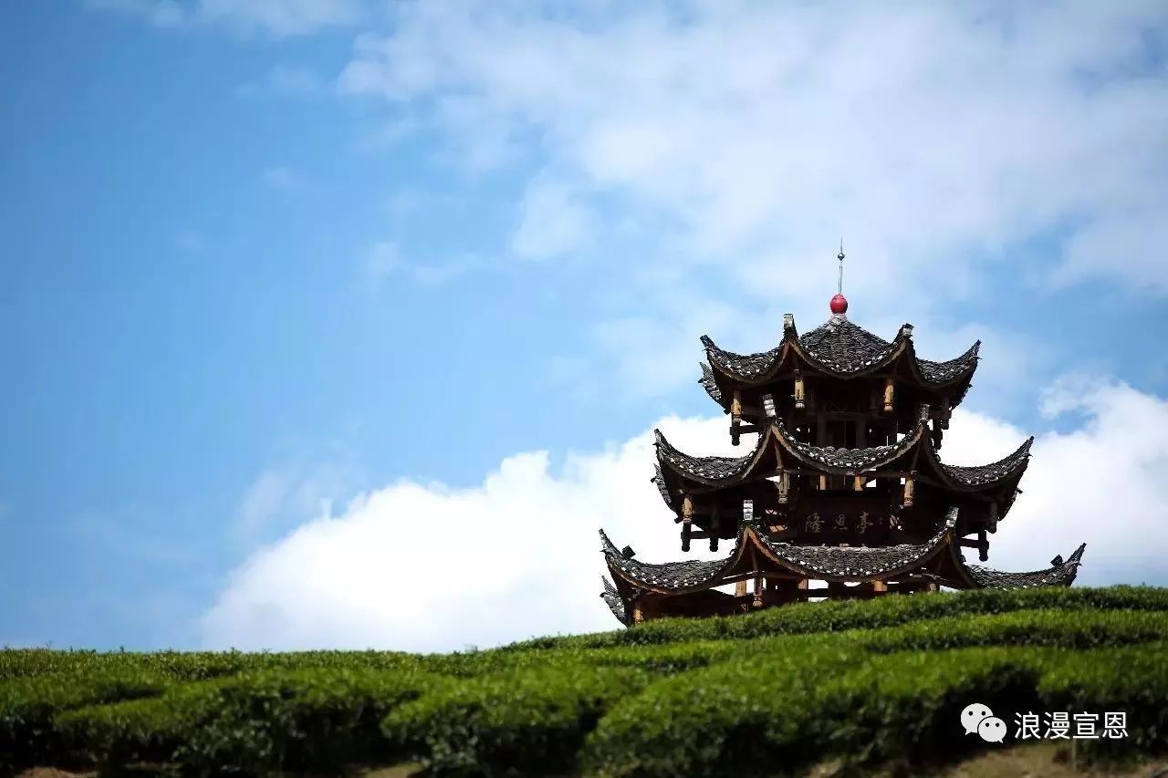 贡乡贡品展览会,工博会