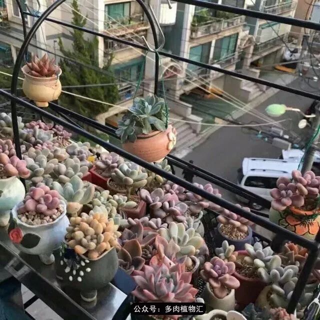 只有见过韩国肉友的阳台，才知道什么叫做物尽其用！