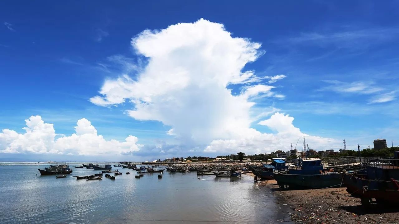 世中运在晋江哪个学校举办,晋江申办世中运