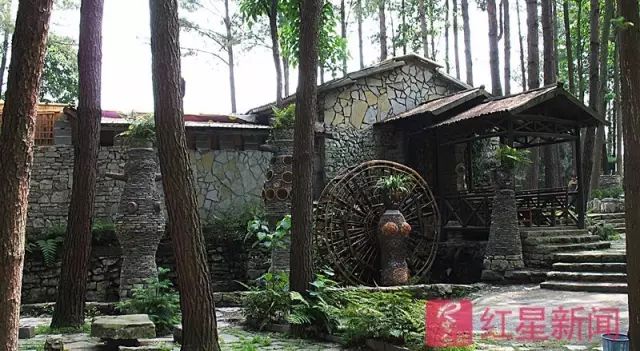 他隐姓埋名20多年,他隐居深山19年