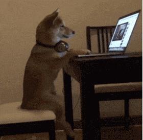 假期余额已不足怎么返程,假期余额已不足这份提醒请收好