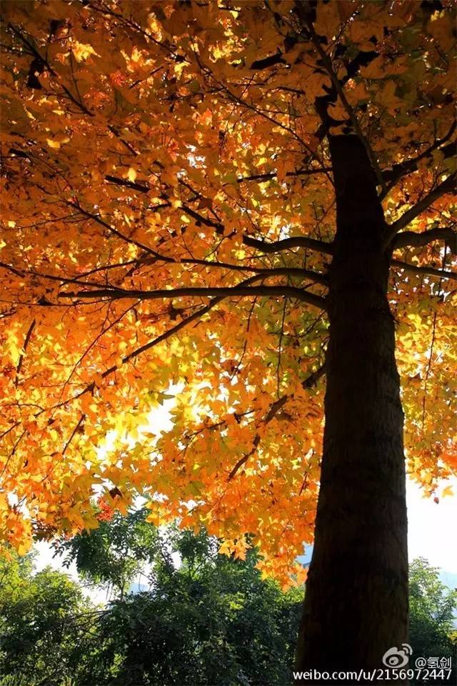 福州一中名校排名,福州一中全校排名