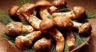 延边特产适合送人的食品,延边值得买的东西清单