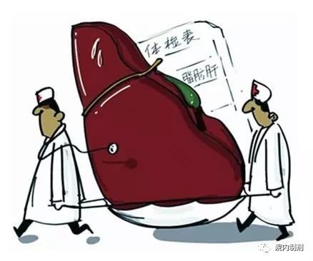 脂肪肝推荐降酶护肝片,脂肪肝专用药进口