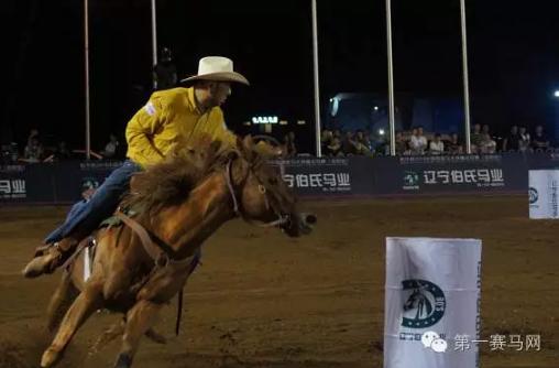 全国马术绕桶巡回赛,国际马术绕桶巡回赛