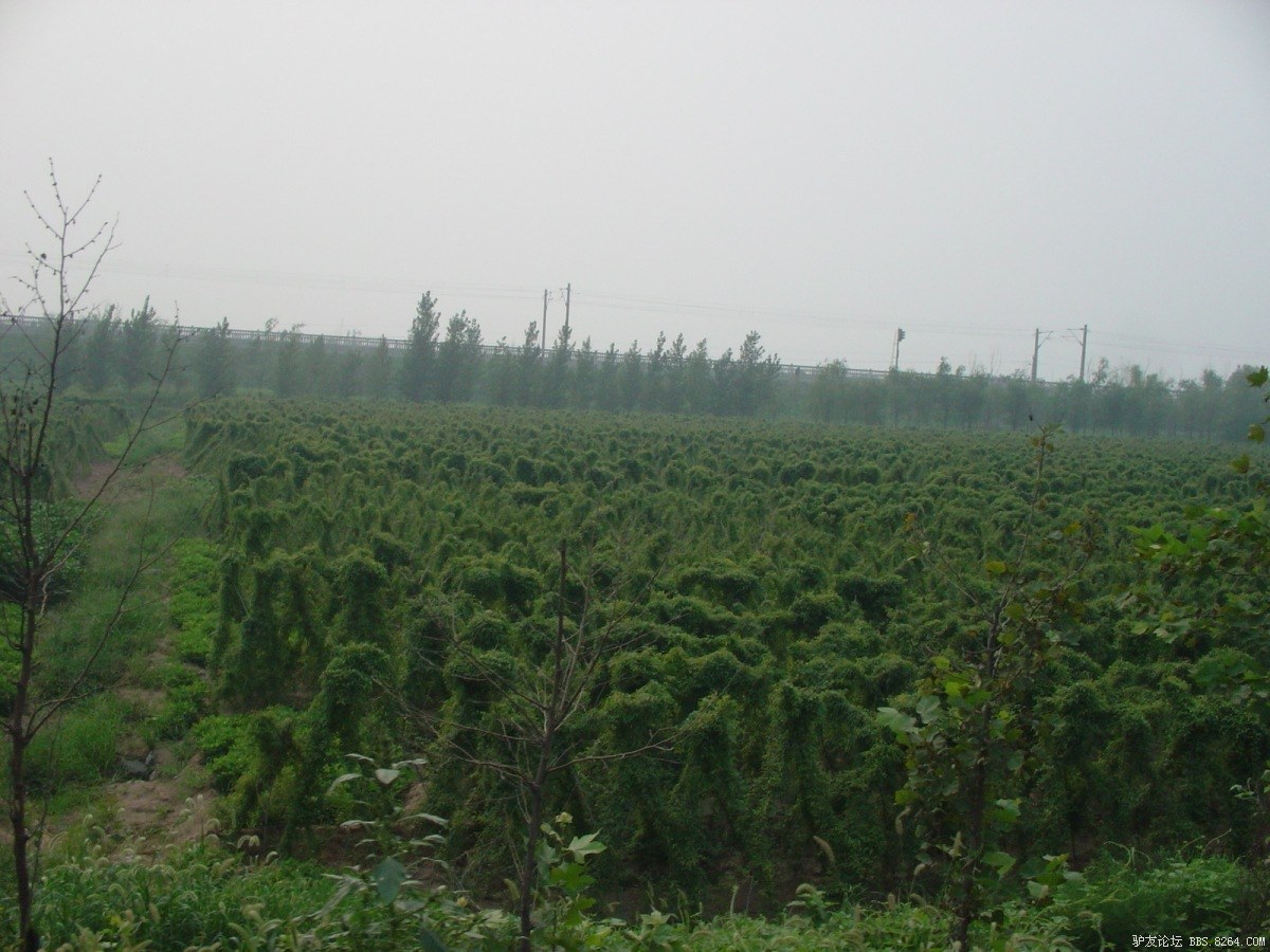 一个人一台车到西藏,一个人一辆车直通拉萨