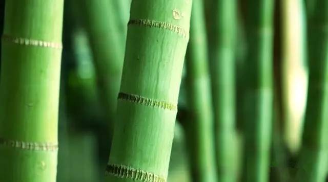 如何选择一家好公司就业,什么时候发工资才是好公司