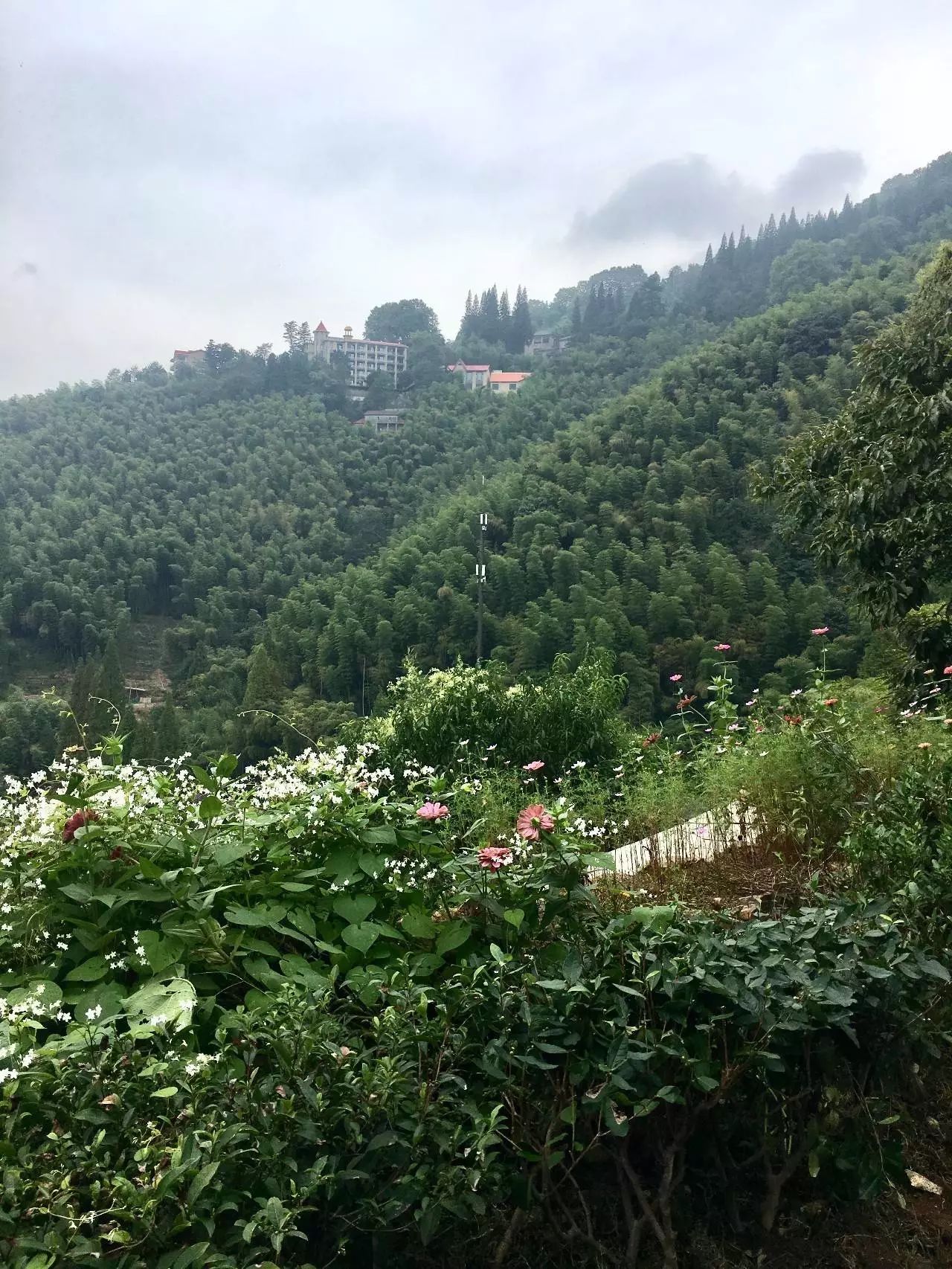 去裸心谷kikaboni吃私宴，听南非主厨BarendGreyling说家的故事