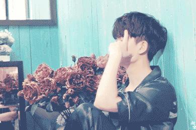 厕所用英语有哪几种说法,英语厕所的几种说法