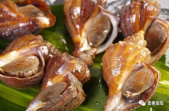 秦皇岛哪儿的海鲜便宜,秦皇岛海鲜值得推荐吗