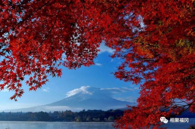 静冈山梨富士山,富士山与静冈山梨