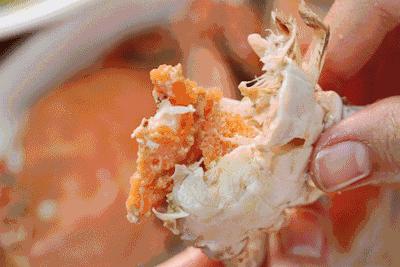 十月吃蟹指南:成都最好吃的8家蟹都在这里了