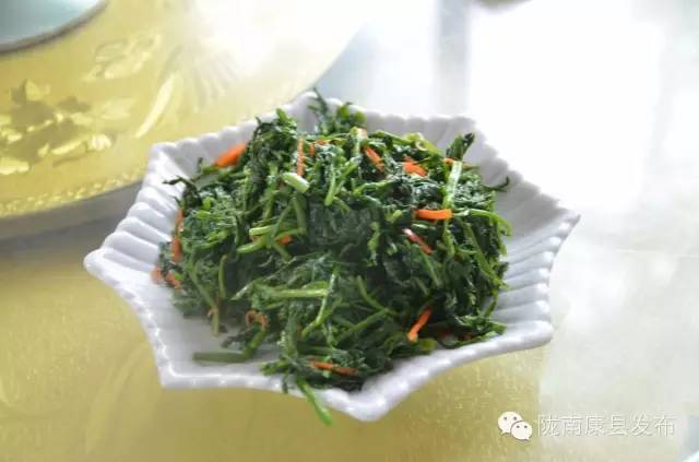 「相约康县」山水间歌声回荡，烟波里久违的故乡