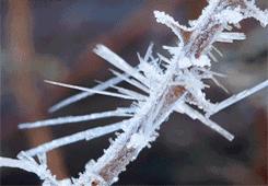 体内有寒邪的人适合用什么来泡脚,寒气重泡脚治什么病