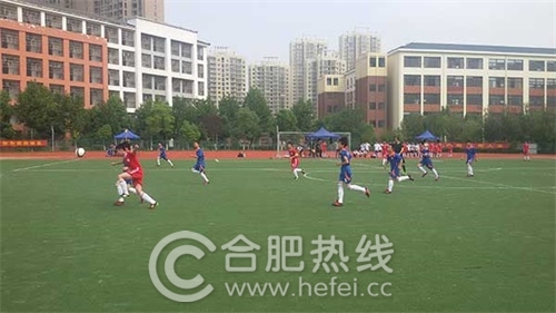 肥西少儿足球比赛,肥西校园足球联赛2024初中组