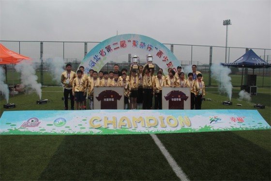 冀萌杯比赛,河北省冀萌杯