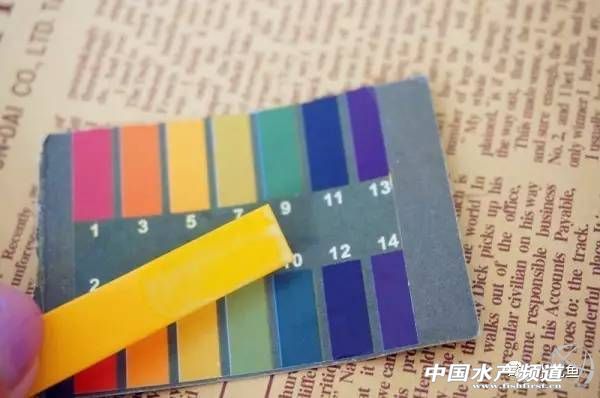 鱼塘土壤酸性用什么改良,鱼塘水质改良方案