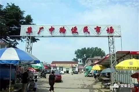 秦皇岛哪儿的海鲜便宜,秦皇岛海鲜值得推荐吗