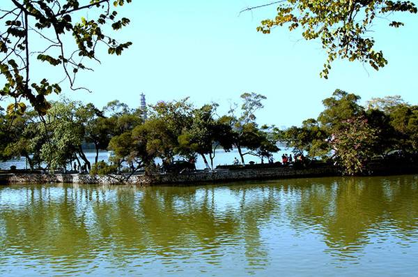 去过青海还需要去拉萨吗,去过一次青海后念念不忘