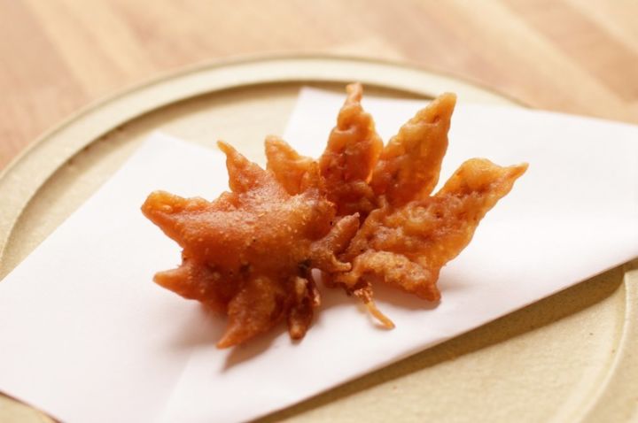 大阪箕面一日游,大阪箕面公园游玩