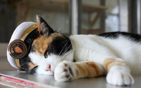 中日双语书推荐,中日双语小说带假名