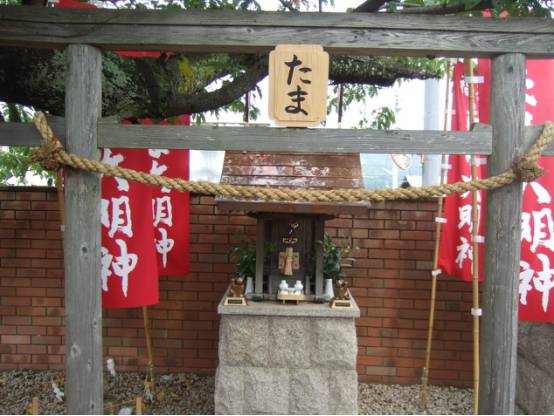 中日双语书推荐,中日双语小说带假名