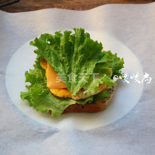 三明治100种简易懒人早餐,20种三明治做法