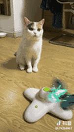 囧吐槽：社会我哈哥，狗怂话还多