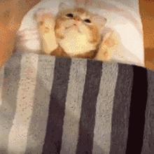 囧吐槽：社会我哈哥，狗怂话还多