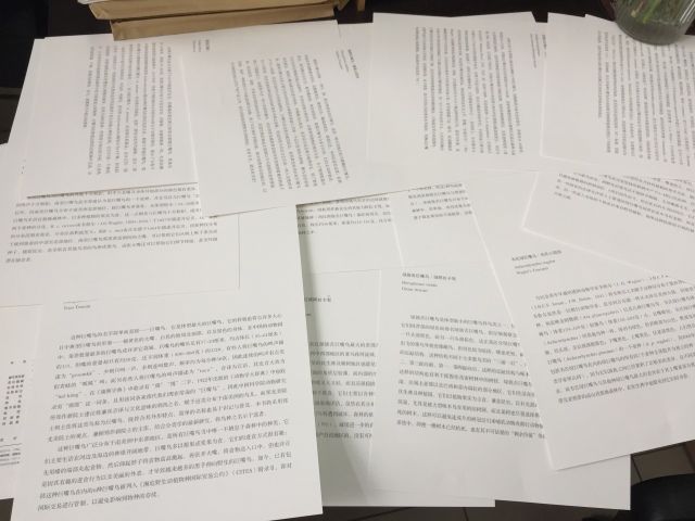 巨嘴鸟的嘴巴有什么用,巨嘴鸟为什么嘴这么大