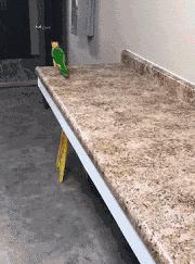 囧吐槽：社会我哈哥，狗怂话还多