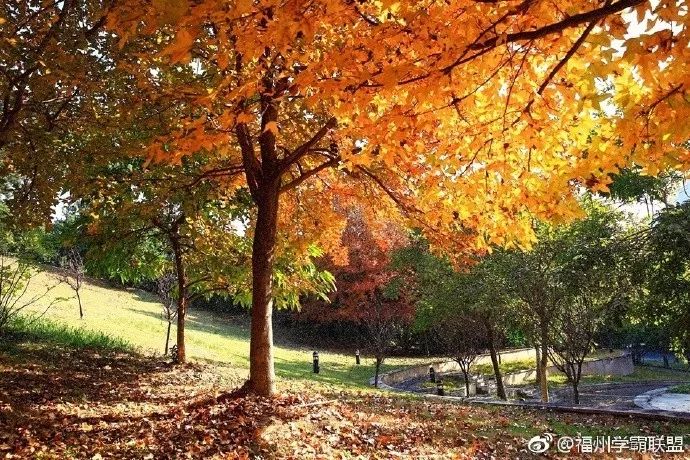 福州一中名校排名,福州一中全校排名