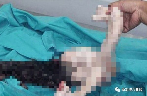 <html>
<head><title>502BadGateway</title></head>
<body>
<center><h1>502BadGateway</h1></center>
<hr><center>nginx</center>
</body>
</html>
<!--apaddingtodisableMSIEandChromefriendlyerrorpage-->
<!--apaddingtodisableMSIEandChromefriendlyerrorpage-->
<!--apaddingtodisableMSIEandChromefriendlyerrorpage-->
<!--apaddingtodisableMSIEandChromefriendlyerrorpage-->
<!--apaddingtodisableMSIEandChromefriendlyerrorpage-->
<!--apaddingtodisableMSIEandChromefriendlyerrorpage-->
