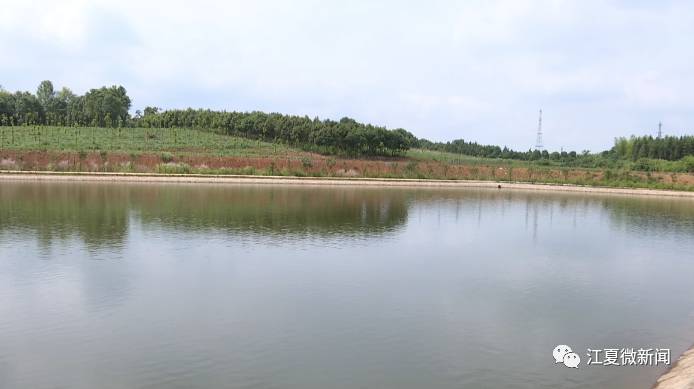 新闻｜阅读两分钟知晓江夏事「2017年10月14日」