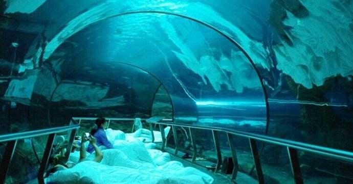 到博物馆看展览,去博物馆看一场展览