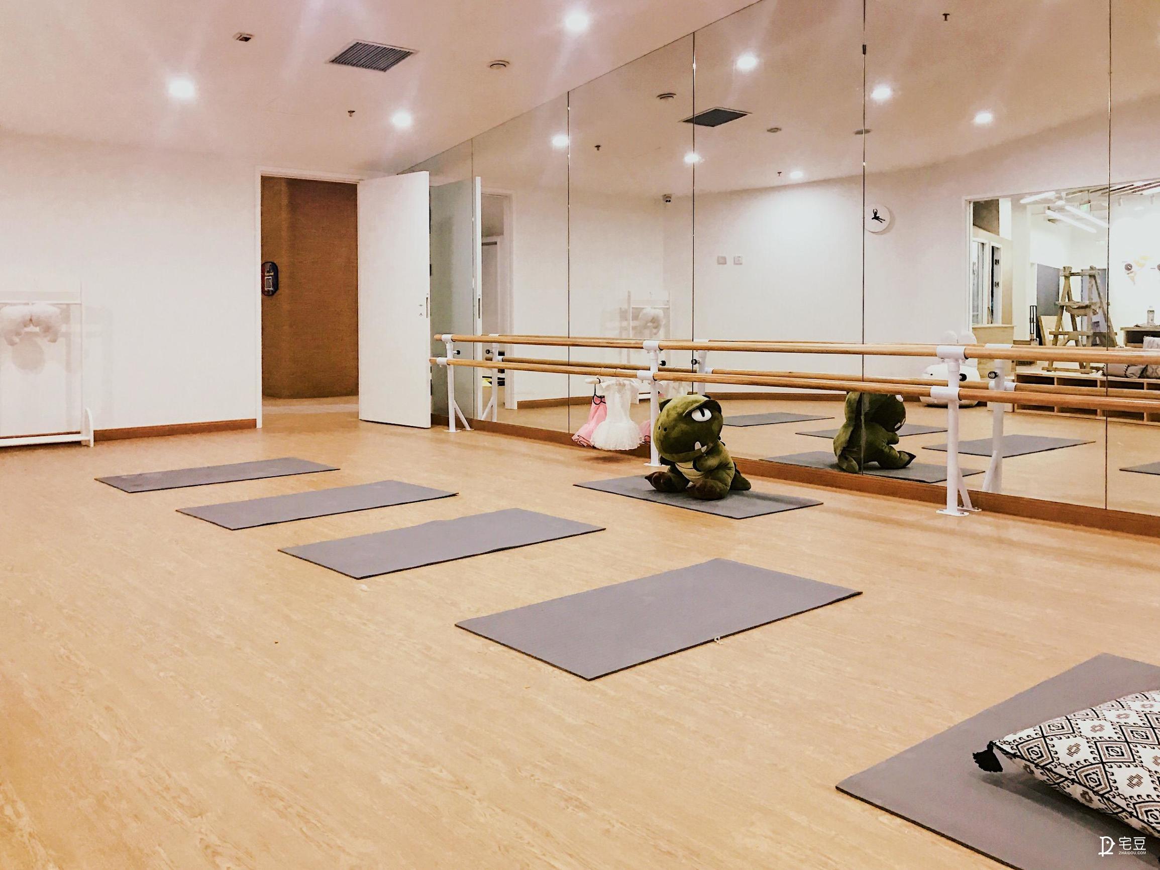 原始森林？动物园？银河系？托儿中心大改造