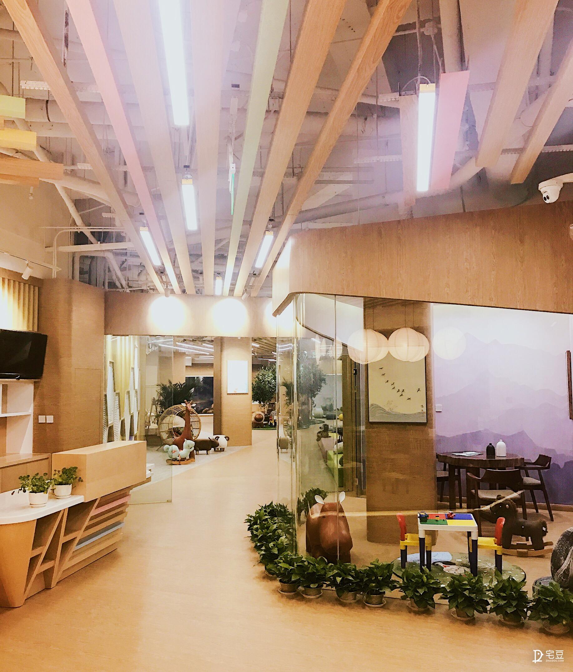 原始森林？动物园？银河系？托儿中心大改造