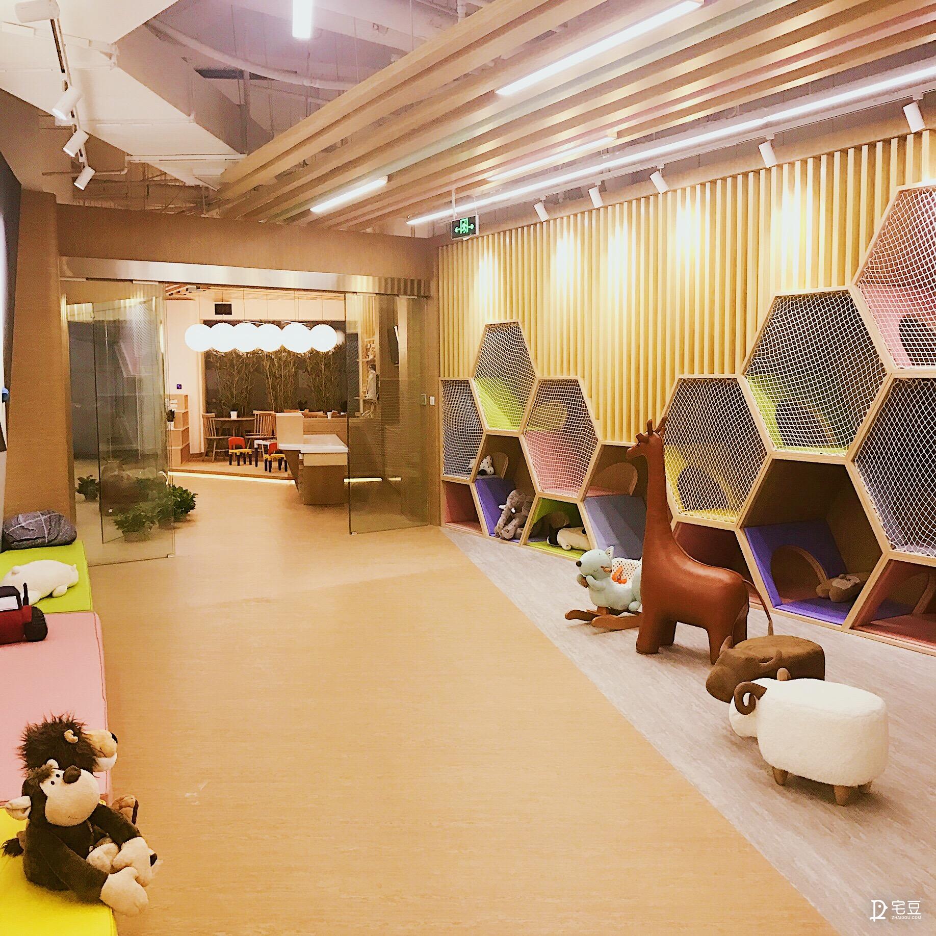 原始森林？动物园？银河系？托儿中心大改造